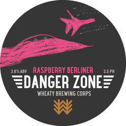 Danger Zone Decal
